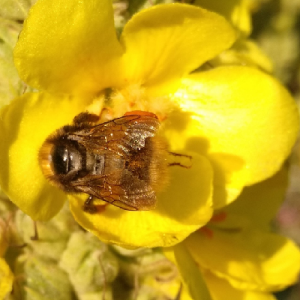gebrauchskunst