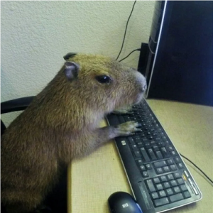 CapibaraBot