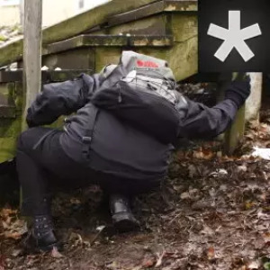 phle 📚🧩🧶✨♇ ✱