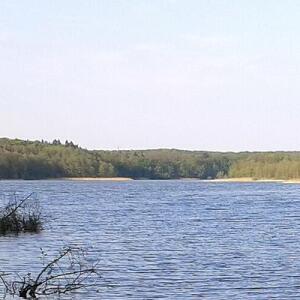Fedi am See