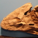 Darth Tiktaalik