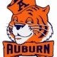 AuburnBlue