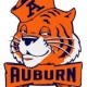 AuburnBlue