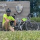 SamUpstate