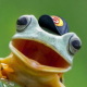 Froisois Desbois