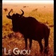 Le Gnou [Compte secours]