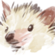 Gingered