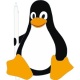 linuxgamer