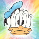 Conny Duck