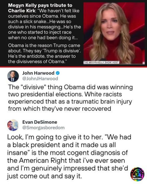 The image features a screenshot from a news broadcast, specifically from "The Megyn Kelly Show," with a woman in a red turtleneck speaking. The text overlay includes a quote from Megyn Kelly paying tribute to Charlie Kirk, discussing the divisive impact of former President Obama. Below the quote, there are two tweets. The first tweet by John Harwood ([@]JohnJHarwood) criticizes Obama for winning two presidential elections, implying it caused a traumatic brain injury to white racists. The second tweet by Evan DeSimone ([@]Smorgasboredom) praises Megyn Kelly for stating that having a black president made everyone "insane," calling it a "cogent diagnosis of the American Right." The image also includes the logos of "The Megyn Kelly Show" and "The Resistance."