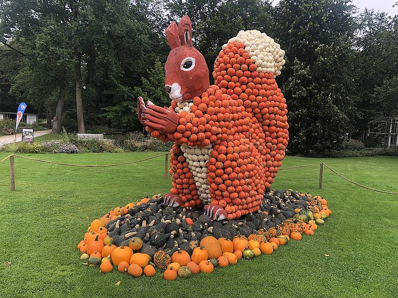 Pumpkin squirrel