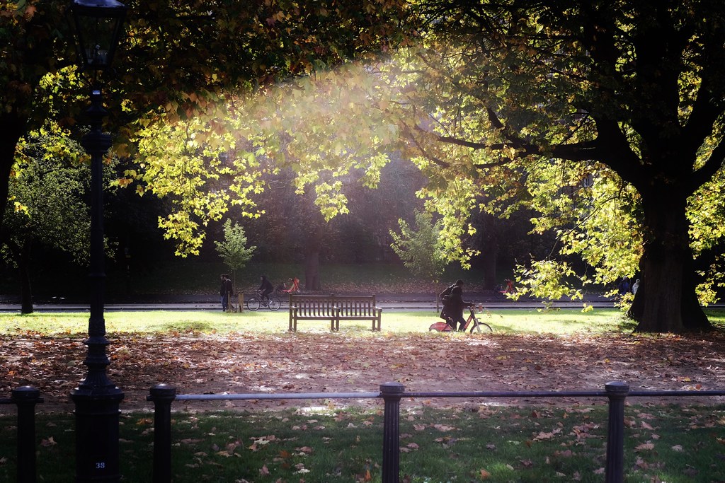 An Autumn Sunbeam