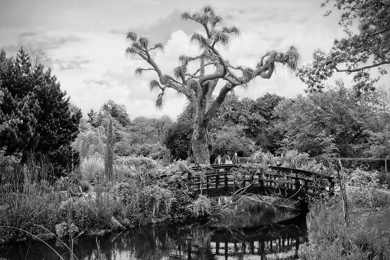 Japanese Garden Bridge