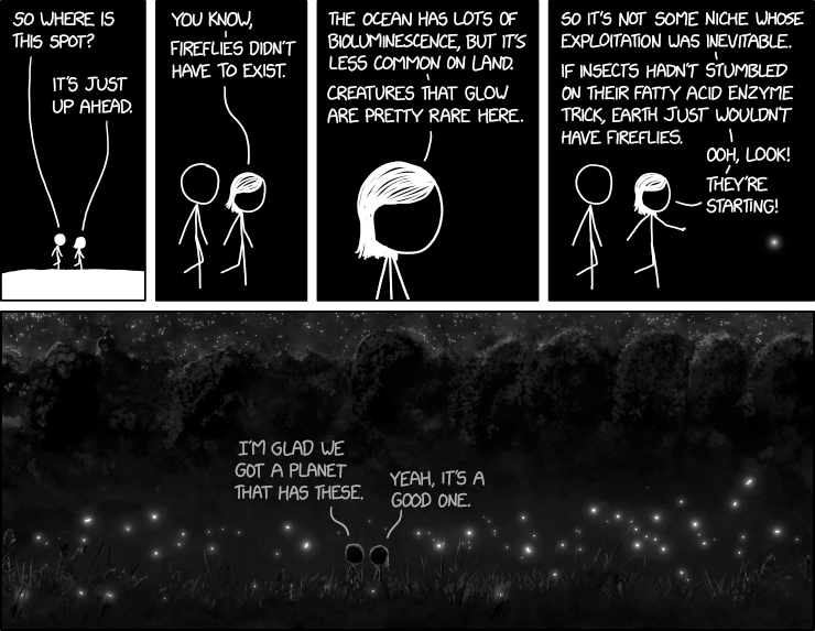 xkcd - Fireflies---