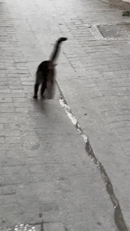 Image/photo