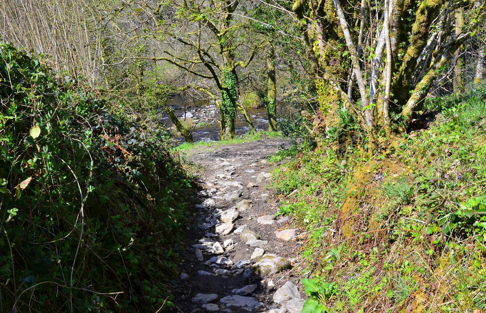 Rocky path to Tarr Steps