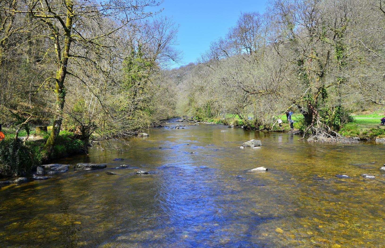 View upstream from the bridge