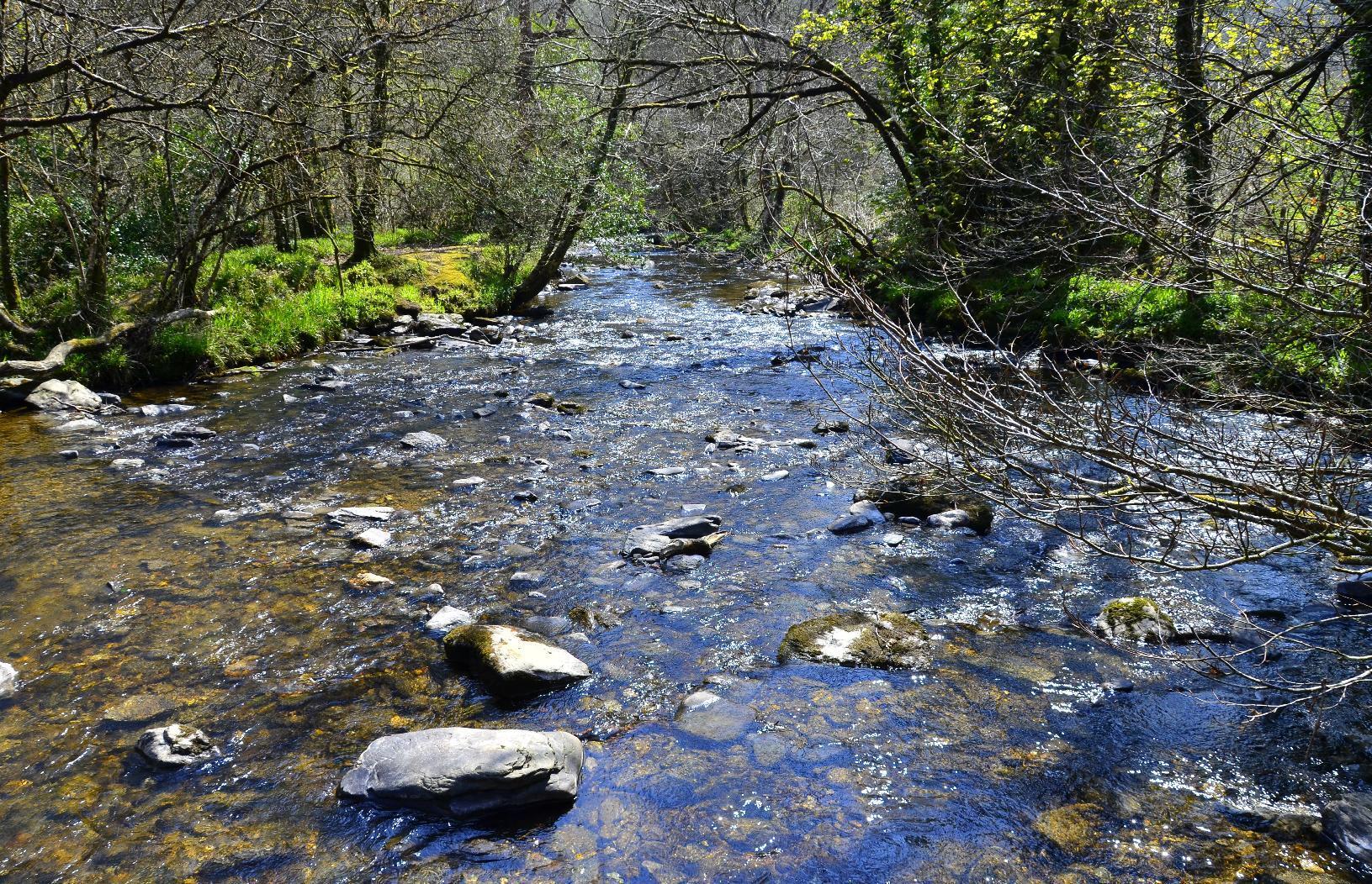 View downstream from the bridge