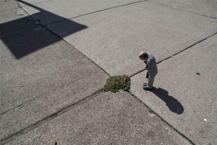 Remembrances from nature. San Francisco, EEUU. Cement Eclipses -By Isaac Cordal 2013 in 3