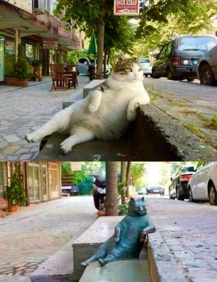 Two images side by side showing the famous 'Tombili' cat in Istanbul. In the first image, a chubby, relaxed grey-and-white cat sits casually on a curb with one paw resting on the edge, looking like a local lounging on the street. This laid-back pose became iconic and beloved by locals and tourists alike. The second image shows a bronze statue of Tombili in the same pose, placed on the same curb after the cat passed away, commemorating its legacy and bringing a smile to passersby in Istanbul.