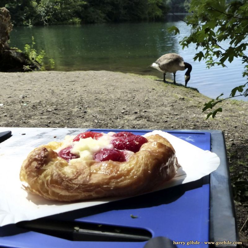 Picknick