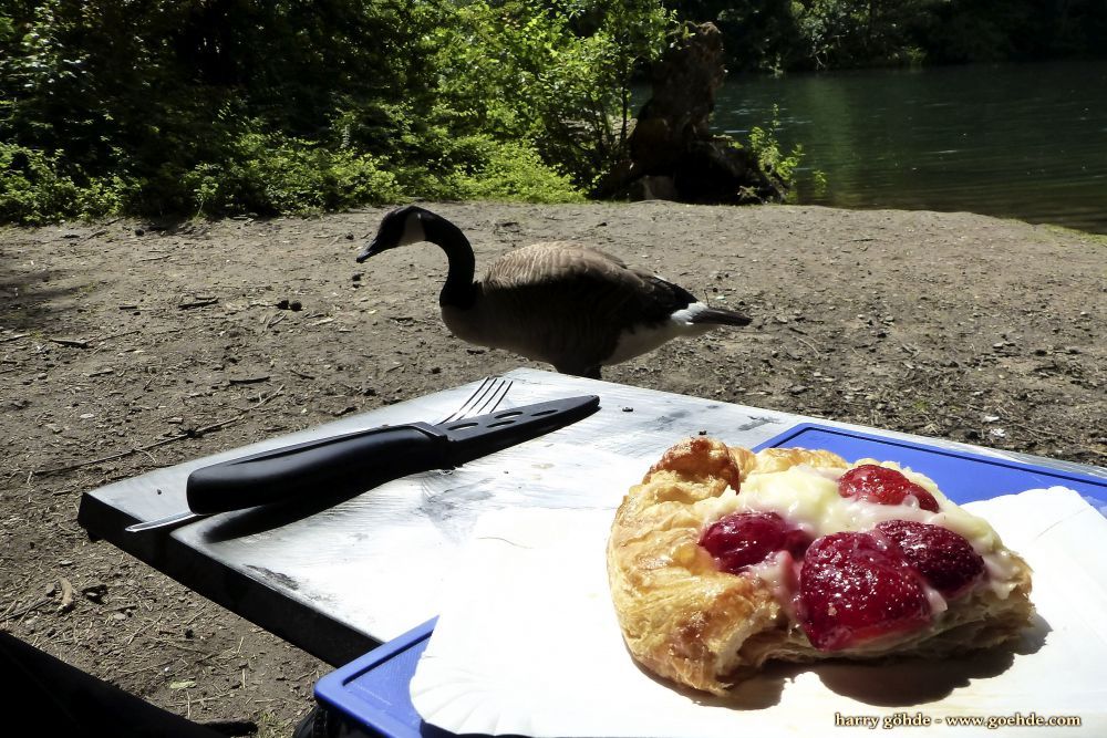 Picknick