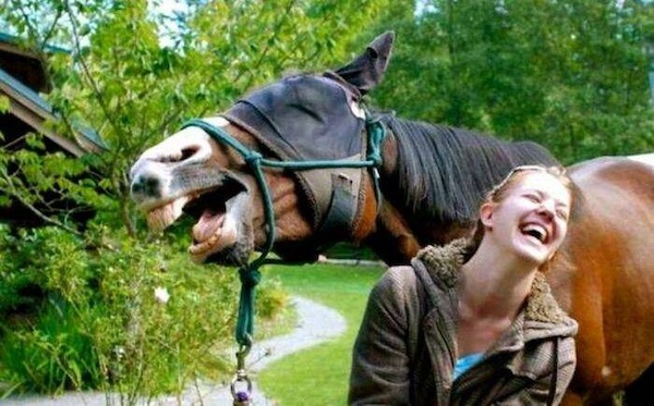 Image/photo