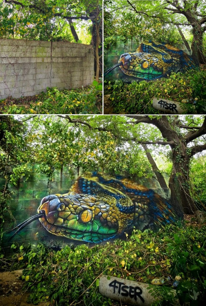 Before-and-after street art mural by Rest4 in Hyères, France, showing a plain cement wall turned into a photorealistic image of a vibrant green and gold snake with a black forked tongue, surrounded by dense vegetation and forest shadows.