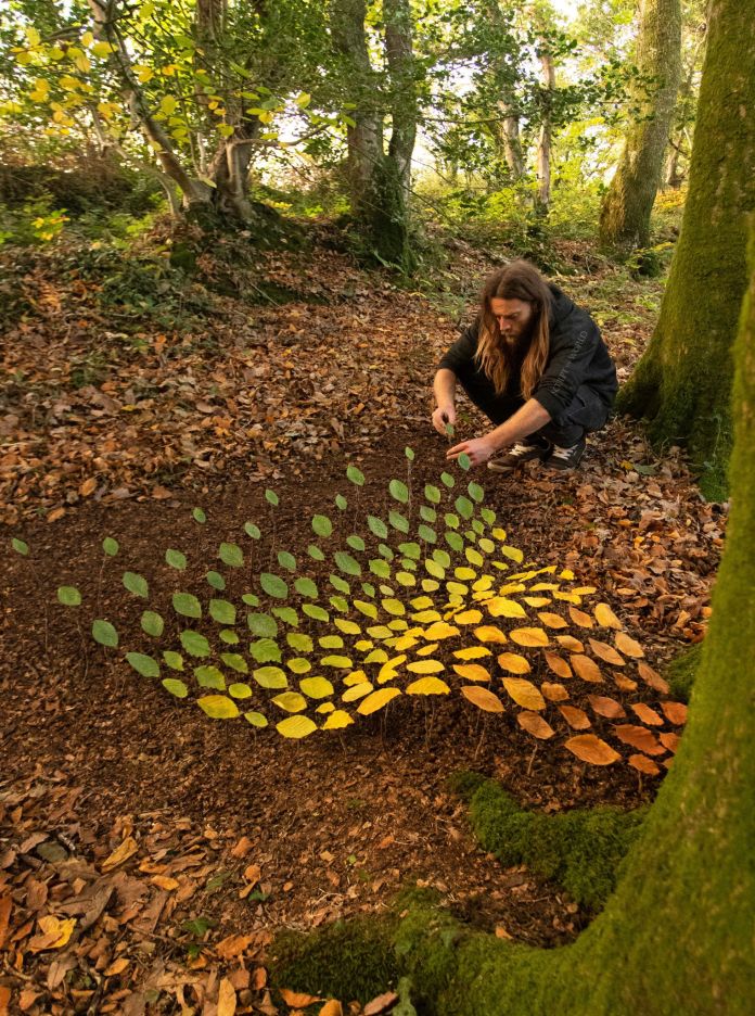 Ephemeral land art by Jon Foreman in Little Milford, Wales, made from small leaves arranged in a 3D gradient pattern on a forest floor. Leaves shift from green to yellow to orange, creating a smooth wave shape in the clearing.