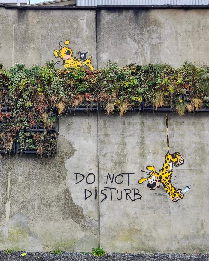 A humorous street art piece by Oakoak featuring Marsupilami, the yellow, black-spotted comic character, cleverly integrated into an urban wall. The artwork depicts Marsupilami peeking over the top of a lush, overgrown planter, while another Marsupilami dangles from a vine below, holding a paintbrush and seemingly adding the words "DO NOT DISTURB" painted on the wall. The combination of greenery and the whimsical characters transforms the plain concrete wall into a lively and playful scene, showcasing Oakoak's talent for blending nature and art with urban spaces.