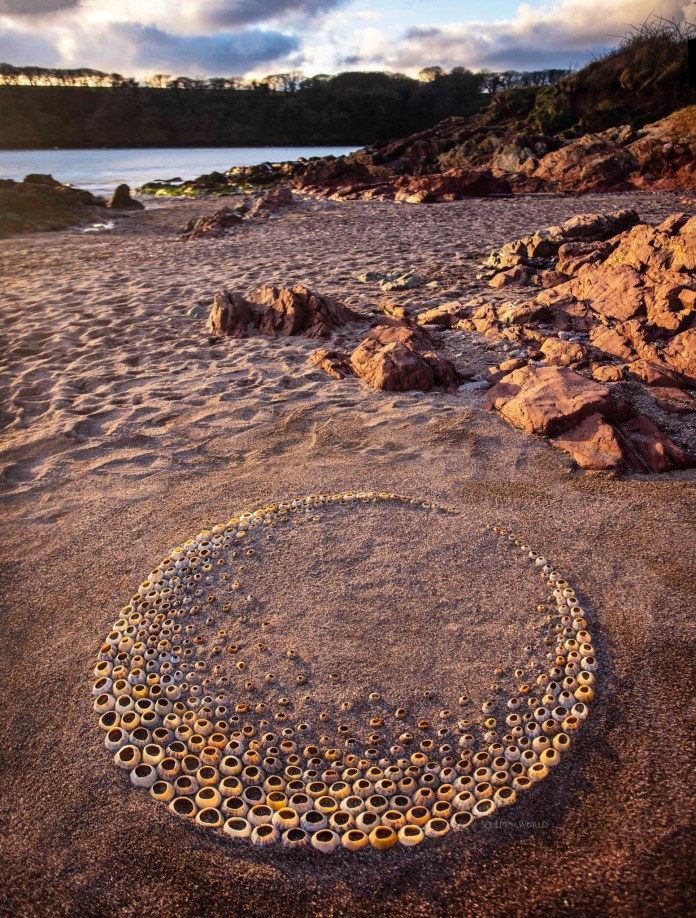 Beach sculpture in the shape of a crescent moon using shell rings carefully placed on the sand near reddish rock formations during golden hour.