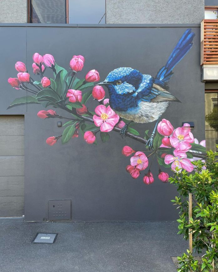 Mural of a blue superb fairywren perched on a branch of blooming pink flowers, painted on a flat gray residential wall in Carlton North, Melbourne, Australia.