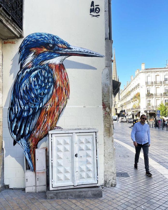 Mural of a colorful kingfisher perched on a wall above street utility boxes in Bordeaux, France, with expressive, textured strokes.