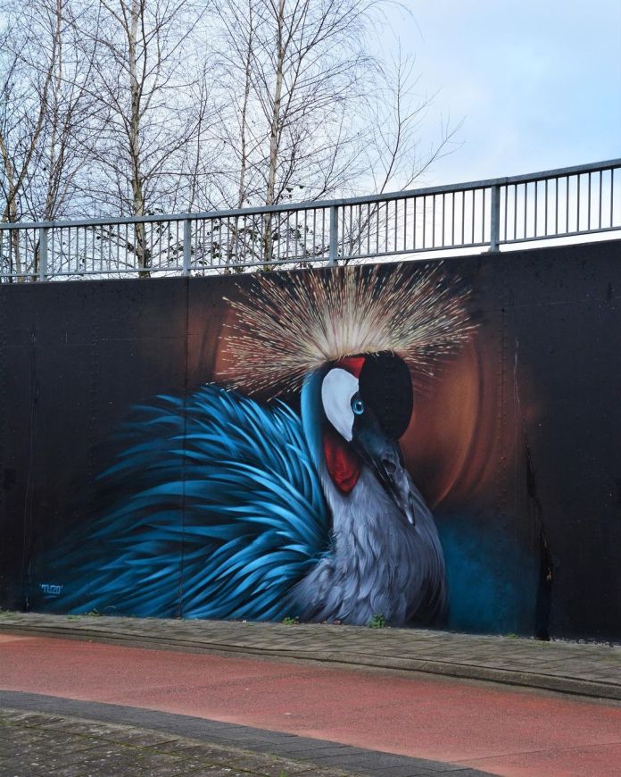 Mural of a grey crowned crane with a glowing crown of feathers and blue plumage, painted against a dark backdrop on a wall in Mol, Belgium.