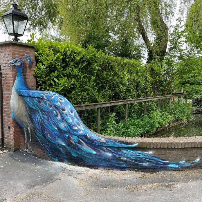 Mural of a blue peacock with an extended, realistic tail blending into the surrounding garden and brick wall in Vinkeveense Plassen, Netherlands.