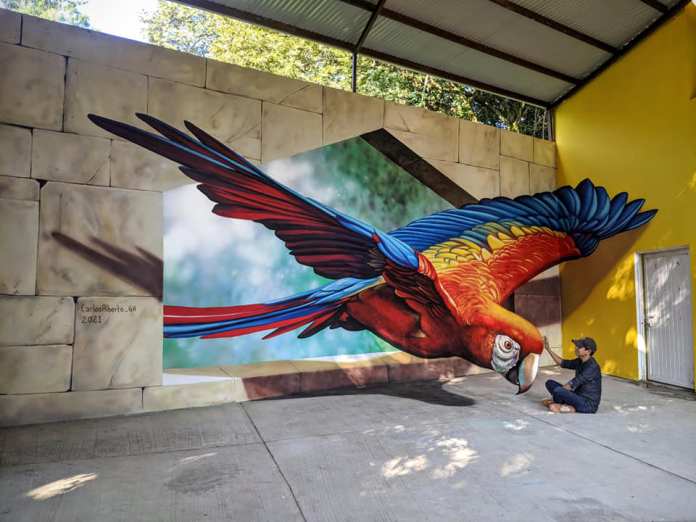 A hyper-realistic 3D street art mural by Carlos Alberto GH in Palenque, Chiapas, Mexico, depicting a vibrant scarlet macaw in flight. The parrot’s red, blue, and yellow feathers are rendered with stunning precision, creating the illusion that the bird is emerging from the wall. A person sits on the ground in front of the mural, enhancing the lifelike scale and depth of the artwork. Painted in 2021 under a sheltered area with a yellow accent wall, this optical illusion blends art with architecture and nature.
