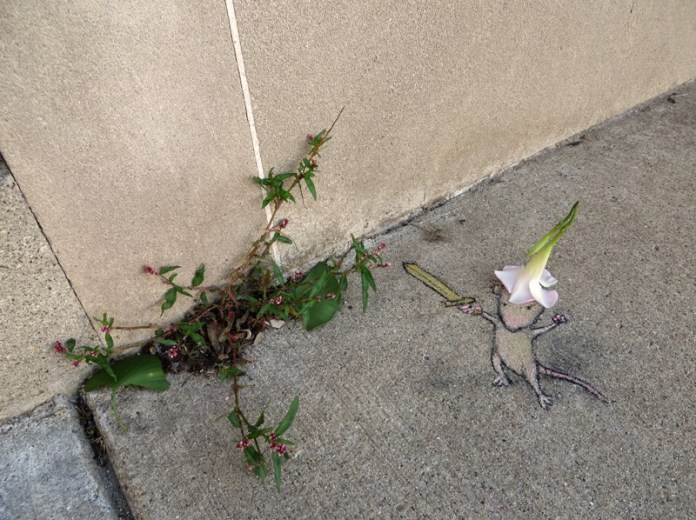 By David Zinn in Michigan, USA 890986