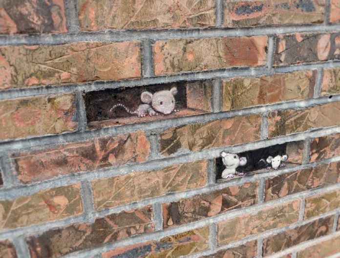 By David Zinn in Michigan, USA 64804