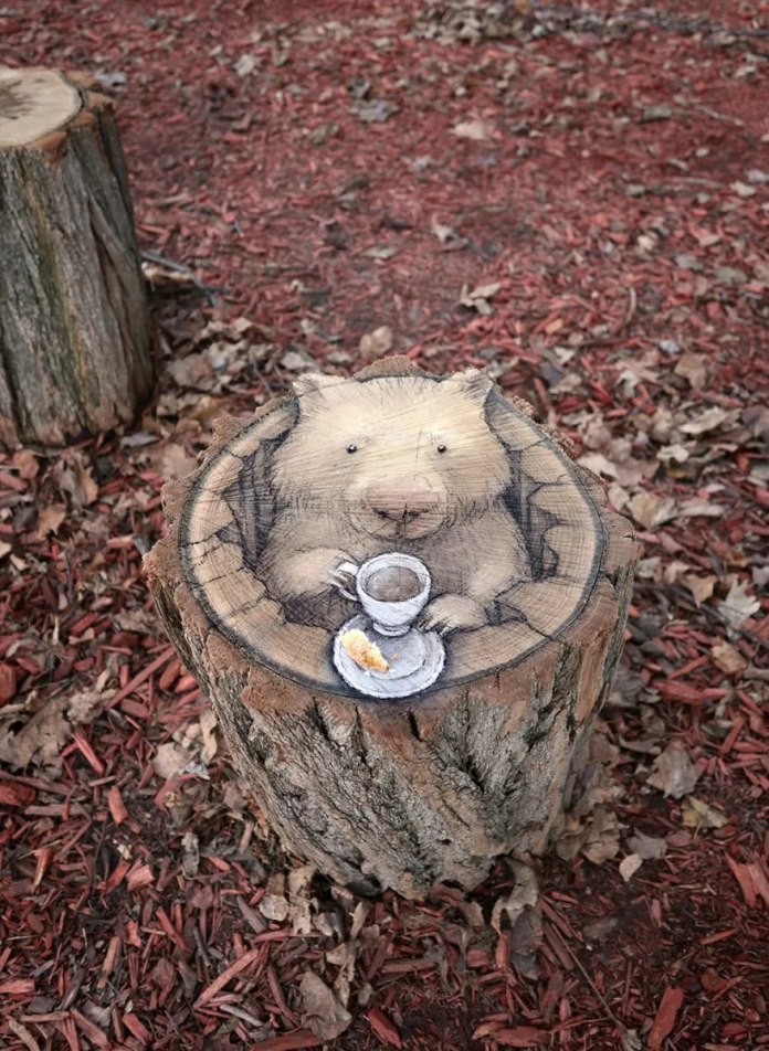 A delightful chalk art piece by David Zinn transforms the top of a tree stump into a cozy scene featuring a whimsical wombat. The wombat appears to be peeking out from the hollowed stump, holding a tiny teacup on a saucer with a small piece of pastry. The natural texture of the tree bark and wood grain blends seamlessly with the chalk drawing, enhancing the illusion. Surrounding the stump is a bed of reddish mulch and scattered leaves, adding a rustic and inviting outdoor ambiance to the artwork.