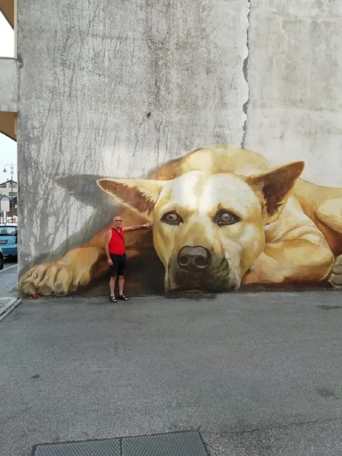 A mural by Giulio Masieri in Pordenone, Italy, depicting a massive dog lying down with its front legs extended. The mural's realistic shading and earthy tones create a lifelike image of a calm, resting dog.