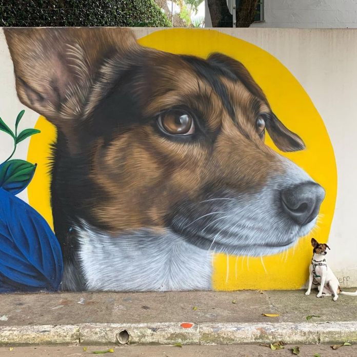 A vibrant mural by Clara Leff in São Paulo, Brazil, showing a close-up of a dog’s face against a bold yellow circular background. The mural emphasizes the dog’s soulful brown eyes and detailed fur, framed by green foliage.