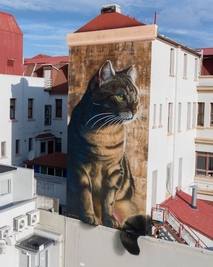 A breathtaking mural by SWIFTMANTIS in Papaioea, New Zealand, depicting a lifelike tabby cat sitting gracefully on the side of a tall building. The intricate details of the fur and the cat's focused gaze add a striking realism, making it a standout piece of street art.