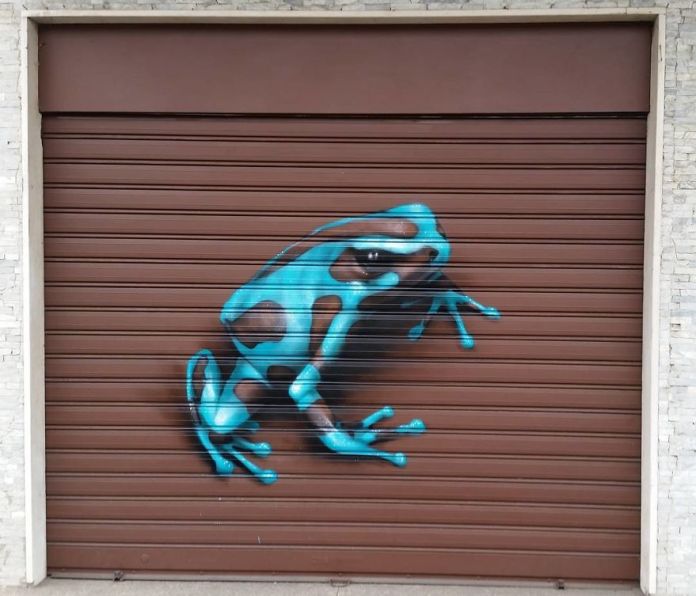 A vibrant 3D mural by Cosimo Cheone Caiffa depicting a strikingly realistic blue poison dart frog on a brown garage door. The frog's intricate patterns and lifelike details create the illusion that it is perched on the surface, blending seamlessly with the textured background. The bright blue and black coloration contrasts sharply with the muted tones of the door, making the artwork stand out as a playful and eye-catching piece of urban street art.