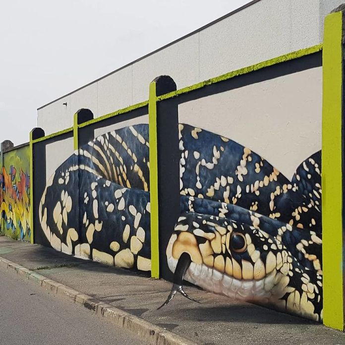 A stunning 3D mural by Cosimo Cheone Caiffa depicting a lifelike snake coiled along a wall. The snake's intricate scales, featuring black, white, and yellow patterns, create a realistic texture that makes it appear as though the reptile is emerging from the structure. The snake's head, with its forked tongue extended, interacts with the viewer, amplifying the illusion of depth and presence. The bold yellow-green accents of the wall frame add to the dramatic effect, showcasing Cheone's incredible skill in transforming urban environments into captivating works of art.
