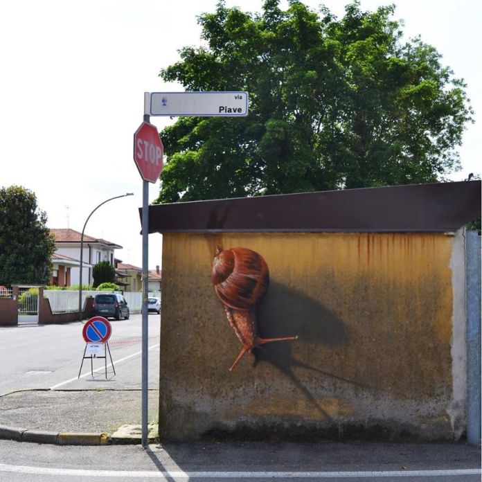 A charming 3D mural by Cosimo Cheone Caiffa depicting a realistic snail climbing a wall under a street sign for "Via Piave." The snail's intricate shell patterns and detailed body texture make it appear lifelike, casting a painted shadow that adds depth to the illusion. The mural blends seamlessly with the urban environment, drawing attention to the otherwise plain wall and creating a delightful and unexpected visual in this quiet street corner.