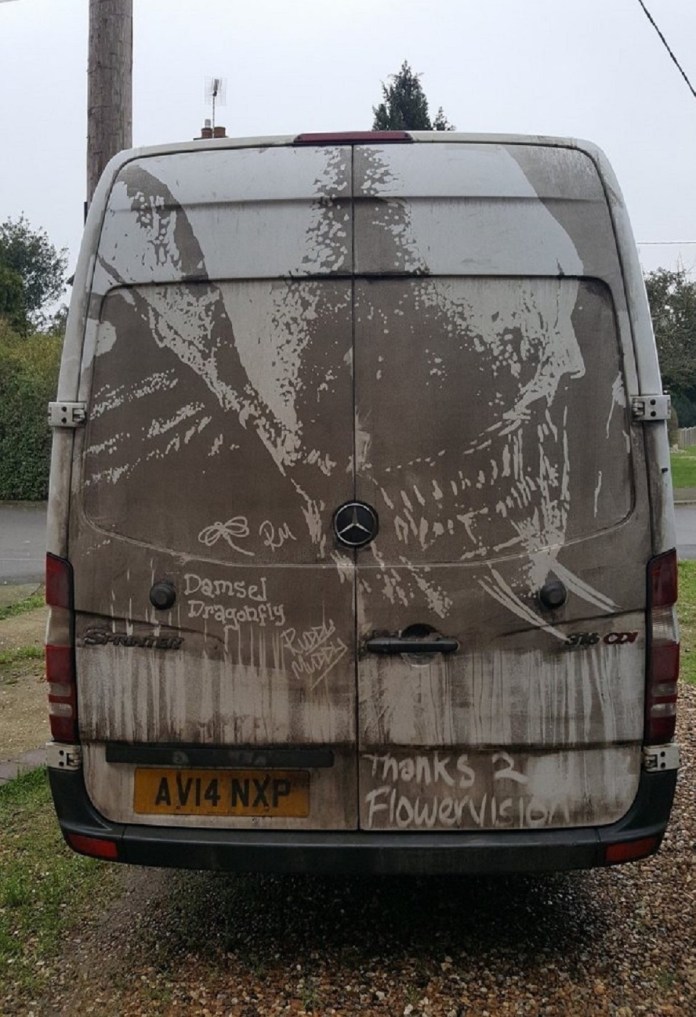 Grime art on the back of a van, featuring a detailed, large-scale image of a damselfly or dragonfly, etched into the dirt covering the vehicle. Below the artwork, the words 'Damsel Dragonfly' are written along with other small tags and signatures, including 'Thanks 2 Flowervision.' The artwork creatively uses the van’s grime as a canvas to create an organic, nature-inspired image.