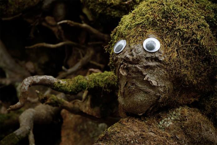 A whimsical example of googly eye street art in Bulgaria, featuring a moss-covered tree root or rock that resembles a face. The googly eyes bring the natural form to life, creating the impression of a curious, forest-dwelling creature. The earthy tones of the moss and bark blend seamlessly with the surrounding woodland environment, while the expressive "face" adds a playful and imaginative touch to the natural landscape. This piece highlights the creativity in combining urban art elements with nature.