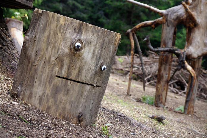 A quirky piece of googly eye street art in Bulgaria, featuring a wooden tree stump transformed into a character. The stump has two googly eyes, one placed in a knot in the wood, and a simple carved line forming a neutral mouth, creating a minimalist face. The scene is set in a forested area with scattered branches and logs in the background, blending natural elements with playful artistic creativity. This piece highlights the charm of adding personality to nature through simple and humorous interventions.