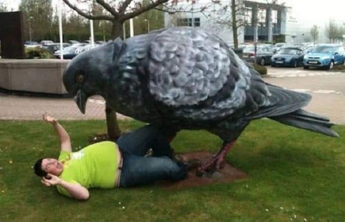 This humorous statue depicts a larger-than-life pigeon perched on a person lying beneath it, highlighting the often playful relationship between people and urban wildlife. The oversized scale adds a surreal element to this piece, likely intended to bring a smile and spark conversations about city birds.