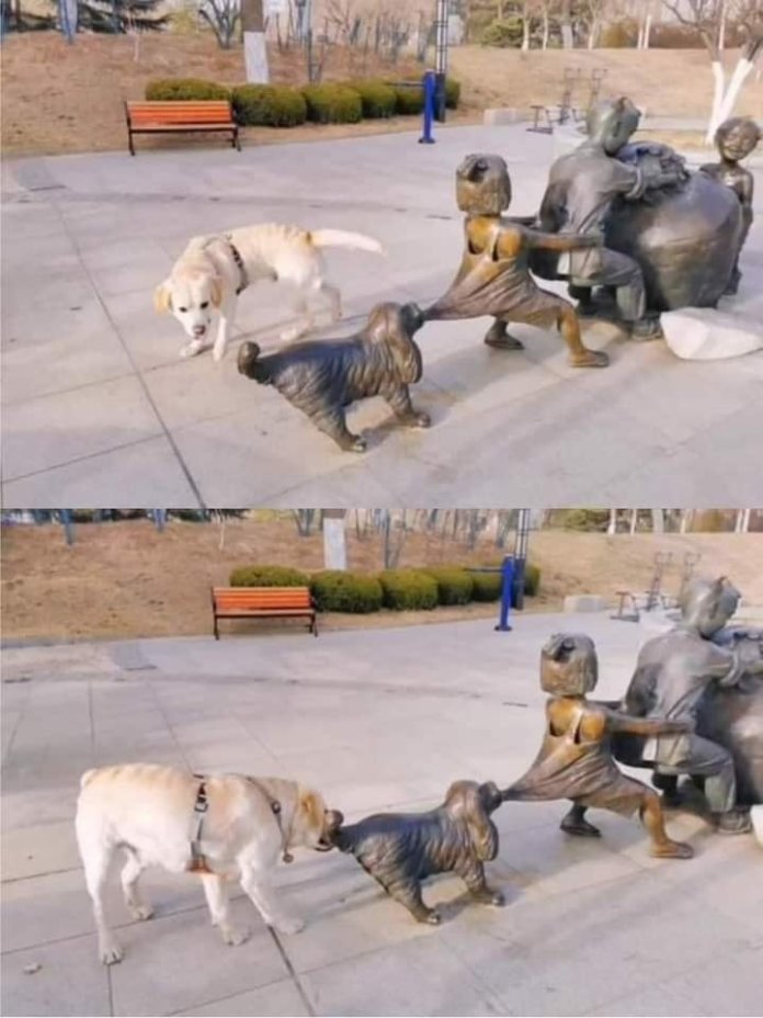 Two-photo sequence of a real yellow Labrador sniffing a bronze dog sculpture that’s part of a statue showing children and animals in a tug-of-war pose, creating the illusion that the dog is participating in the scene.